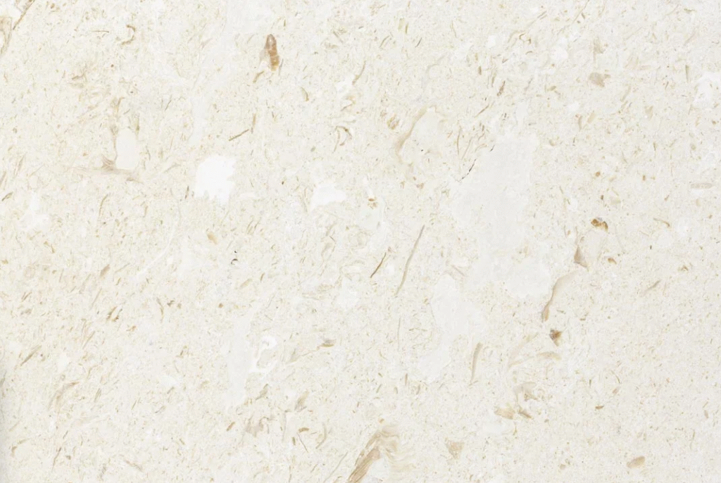 Fossil Limestone gallery photo 2